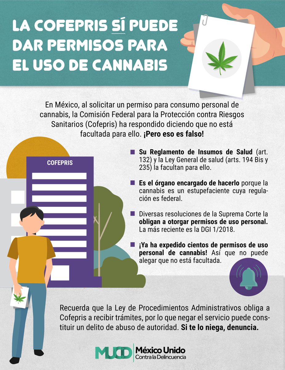MUCDoficial's tweet photo. ¡La @COFEPRIS miente a personas usuarias cuando les dice que no está facultada para emitir permisos de uso personal de #cannabis! Checa por qué en esta #infografía.

Conoce más: https://t.co/iGyXZgmYe6

#CannabisConPermiso 🪴 https://t.co/wJ7QTQ8m3q