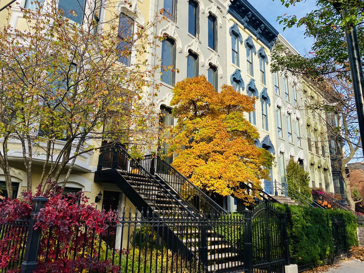JoshMoulton's tweet photo. Lincoln Park Fall. #websterave #chicago #art #artgallery #fallcolors #picsforpaintings #lincolnpark https://t.co/X4u5O9UKfM