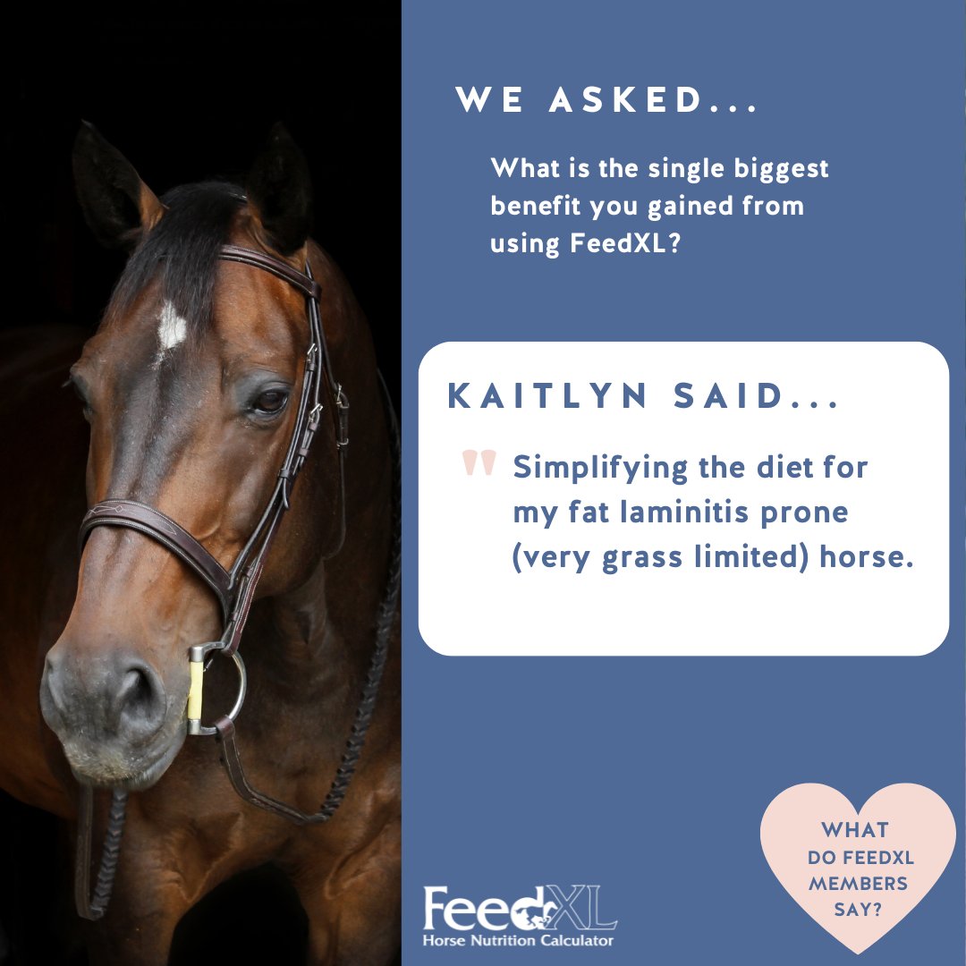 FeedXL's tweet photo. We asked "What is the single biggest benefit you gained from using FeedXL"

Here's what FeedXL member Kaitlyn had to say ❤️

We'd love to hear from you too! What has FeedXL helped you with the most? Tell us in the comments! 💬

#feedxl #horsenutrition #horsefeeding https://t.co/UAdoAEkn4b
