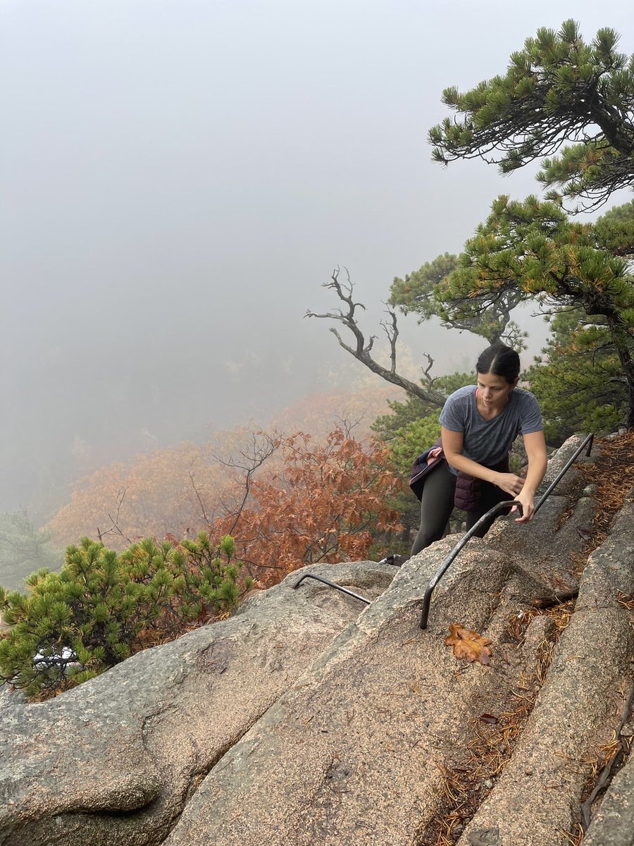 Would recommend climbing the difficult trails at Acadia.

Would not recommend doing it in wet/foggy conditions…