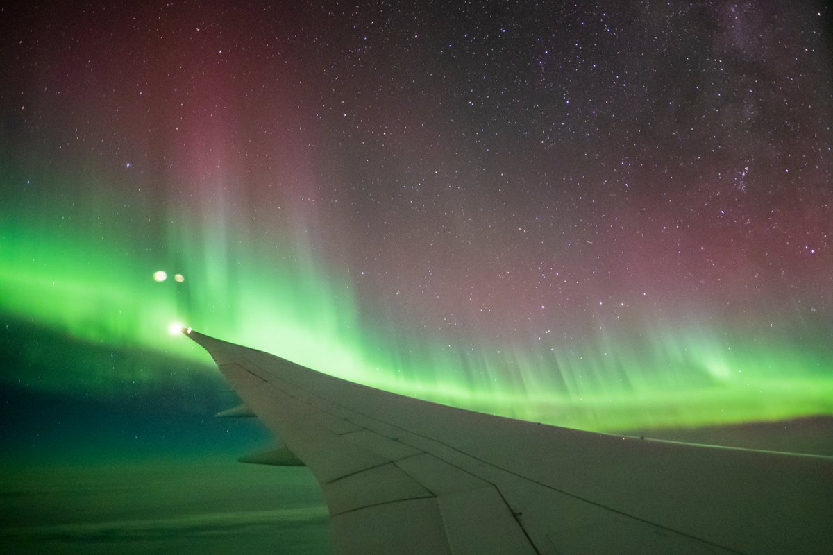 The incredible story behind the development of our Southern Lights by Flight experience, including some unusual business challenges we have faced along the way (3min read) 👇 
#entrepreneur #nzsmallbusiness