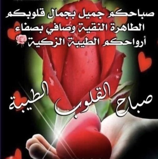علي بن سعد AAAs tweet media