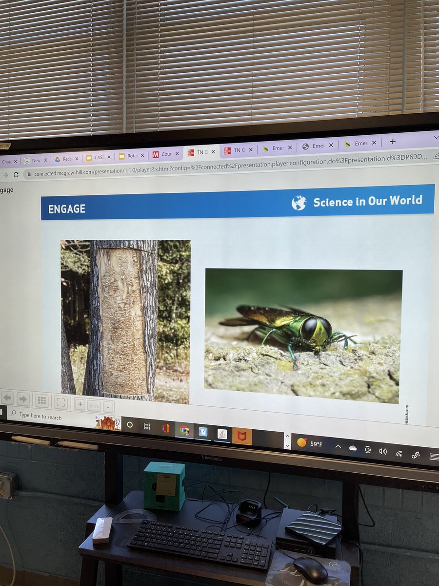 jordanmoates's tweet photo. Students discovered one of the invasive species we have been studying on our  campus today.. so of course we had to do more investigating! We jotted down ways to help our community solve this problem and some community members we can contact for more info! @WestViewVols @theTSIN https://t.co/CktbK4mJIP