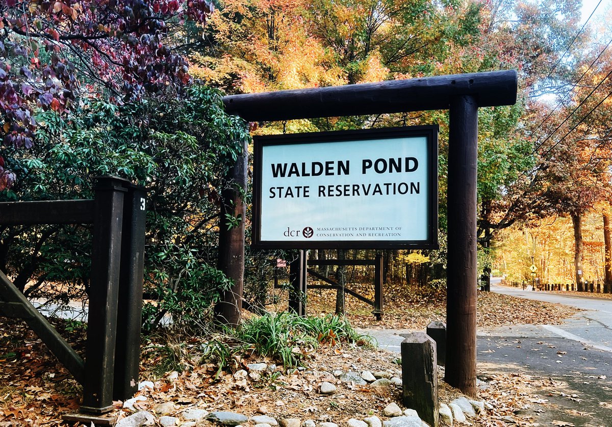 mistymac's tweet photo. “I learned this, at least, by my experiment: that if one advances confidently in the direction of his dreams, and endeavors to live the life which he has imagined, he will meet with a success unexpected in common hours.”

-Henry David Thoreau

#WaldenPond 
#Literature https://t.co/KxeptYWmJv