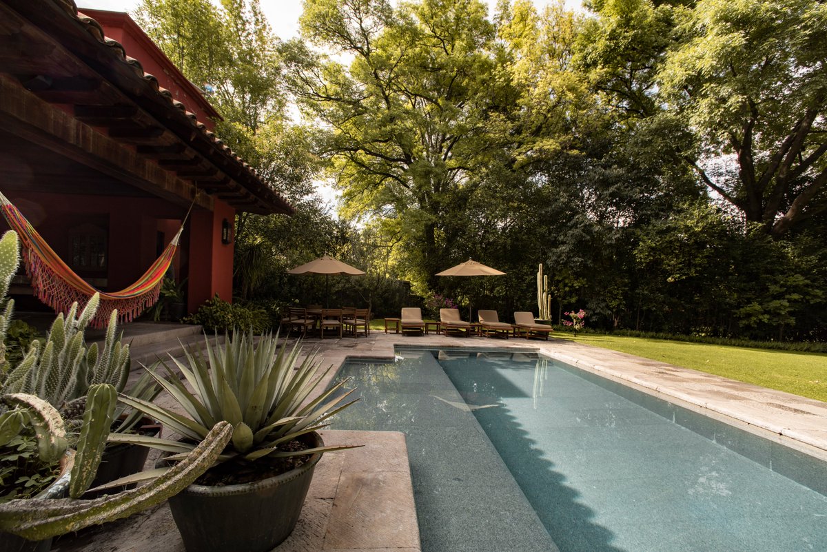 A little piece of heaven.
📍Hidalgo, Mexico