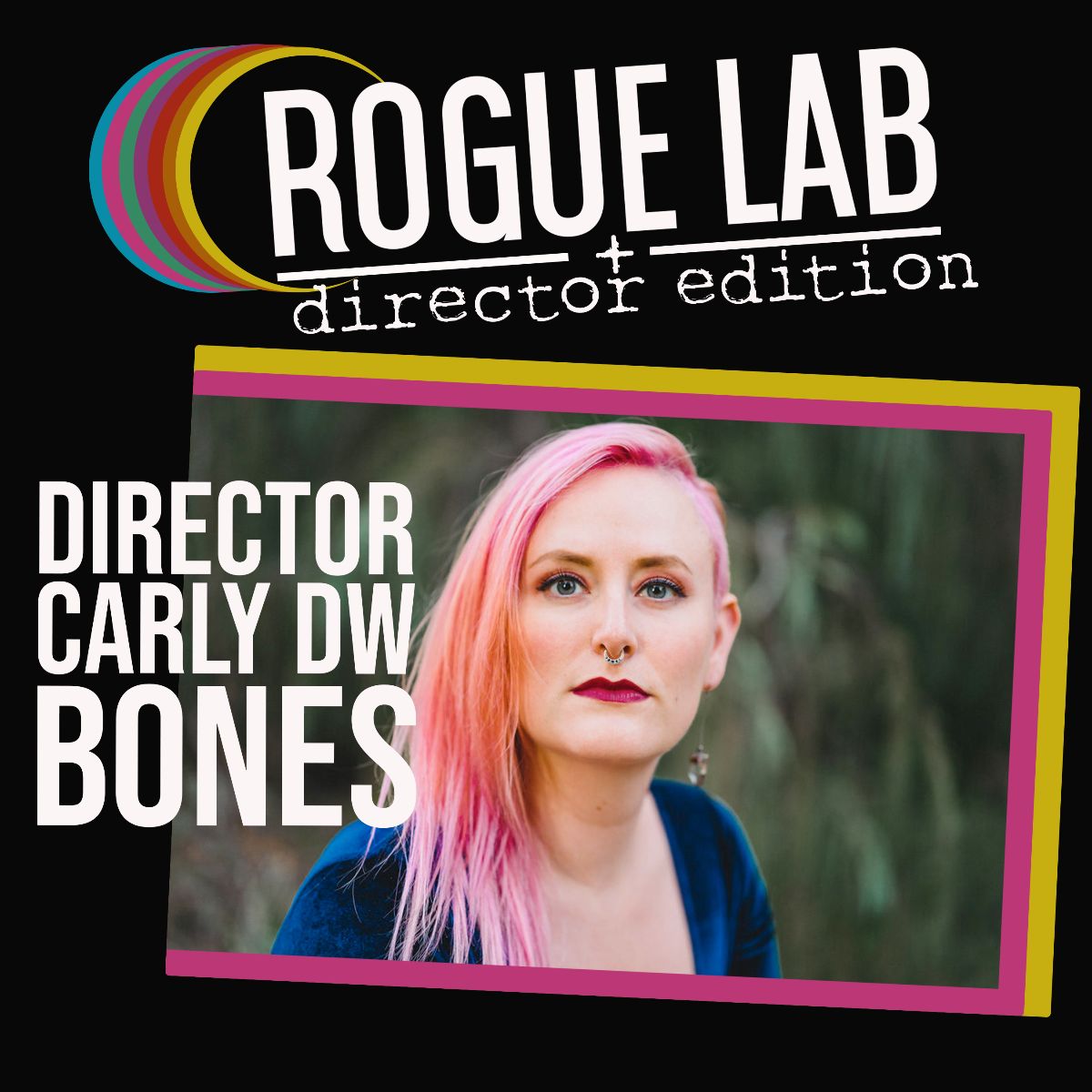 Rogue Lab: Director Edition Coming Soon! - mailchi.mp/rogueartists/h…