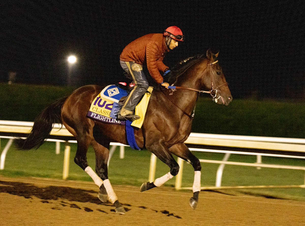 NeilAgate's tweet photo. Flightline looked like a beast this morning at @keeneland - can’t wait to see him at @BreedersCup https://t.co/3oJH0OHiLV