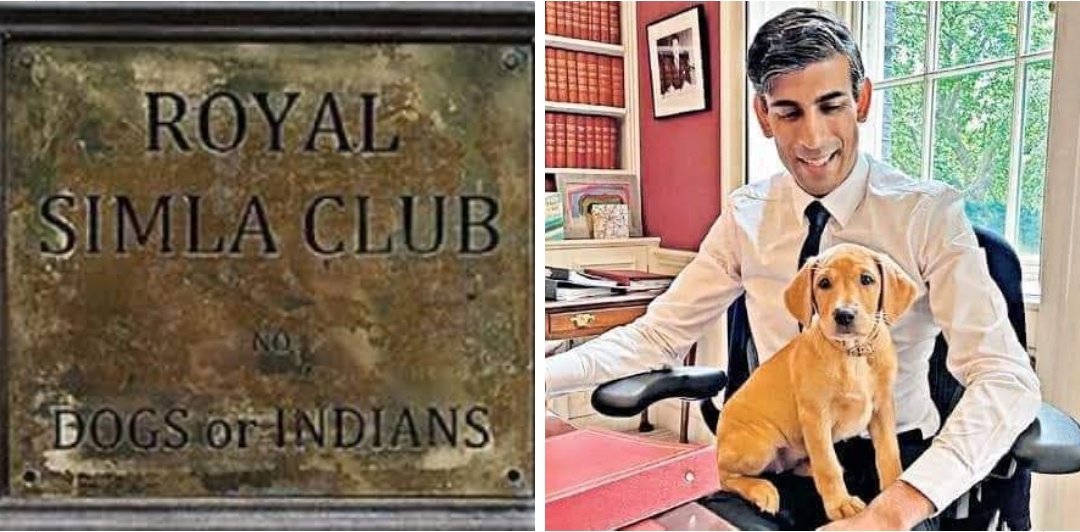 The Britishers who used to say that dogs and Indians can't enter the Royal club, Today the PM of their country is an Indian, and is keeping a British dog inside 10 Downing Street 😂😂 #RishiSunak