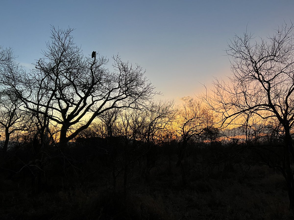 Riding into the sunset…