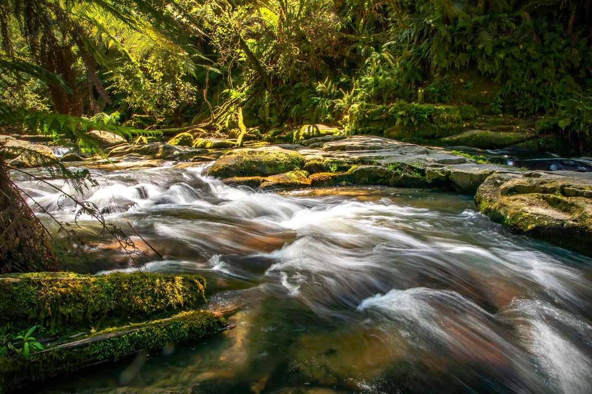 isnapit1's tweet photo. Where my mind is at peace and my heart is full. #mentalhealthmatters #river #nature #photography #travel #naturephotography #water #landscape  #photooftheday #mountains #fishing #love #travelphotography  #adventure  #beautiful #naturelovers #landscapephotography  #photo #forest https://t.co/mzpWL72n6S