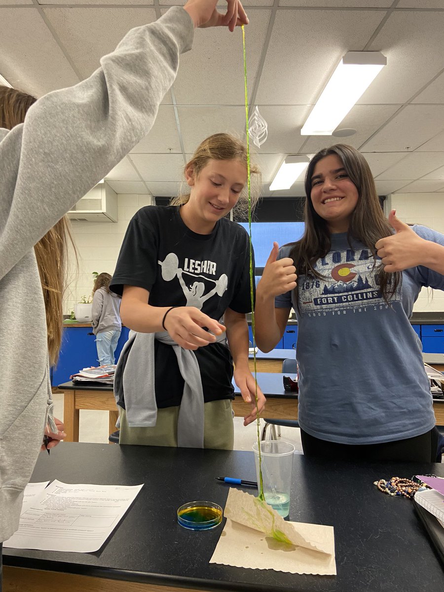 LesherScience's tweet image. I ❤️ lab days! #sciencerules #middleschoolscience @Lesher_MS @sciencepsd