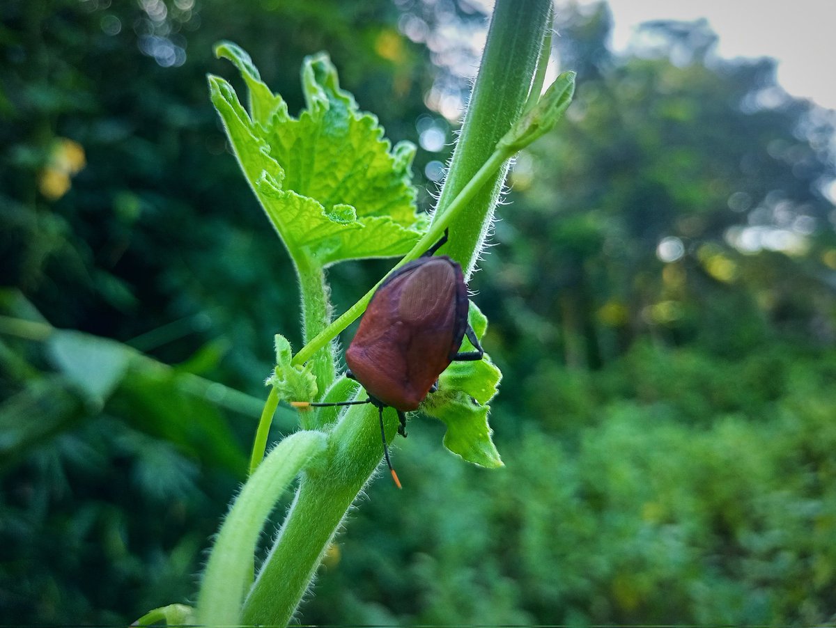 s80alam's tweet photo. শখের ফটোগ্রাফি https://t.co/MYDrbEZOwN