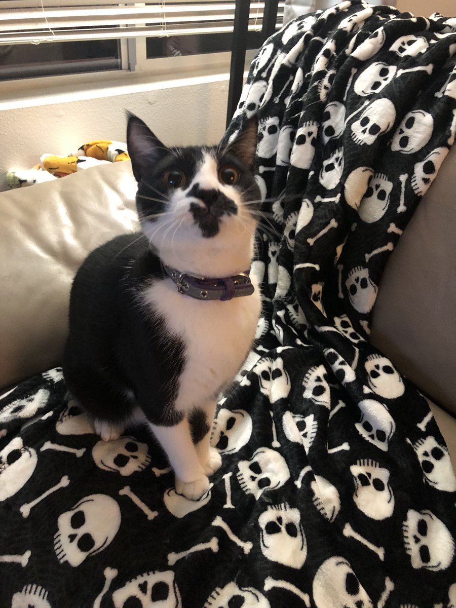 My baby one year apart🥺💖