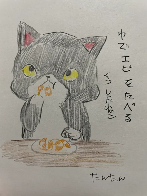 ゆでエビを食べるくつしたねこ#イラスト #猫 