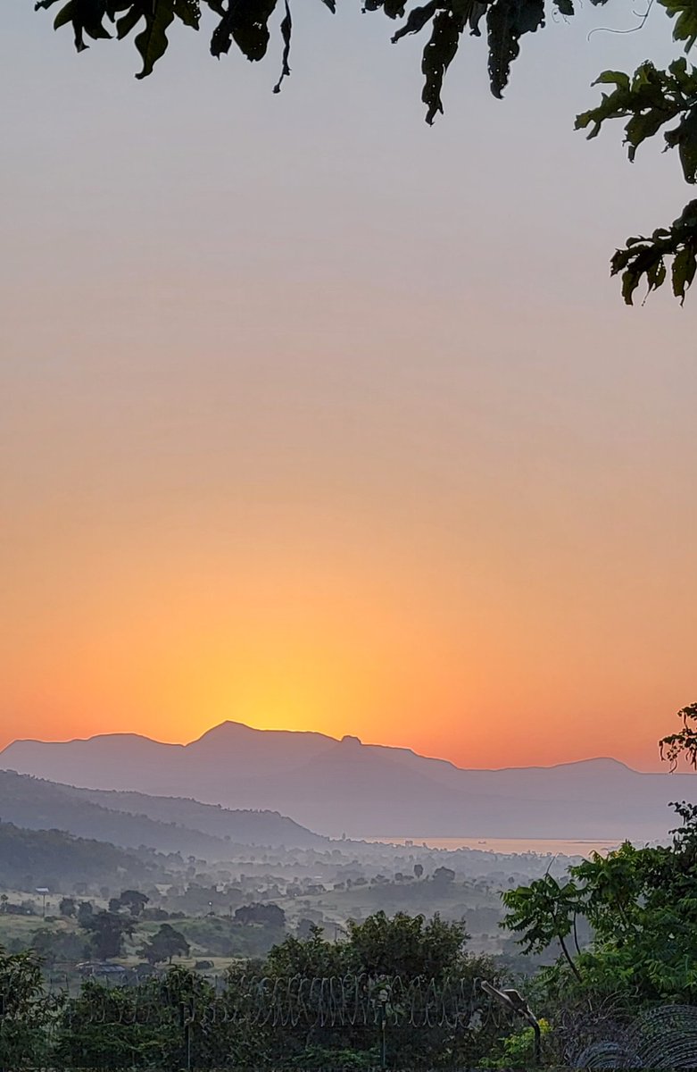 Ramesh Narayan tweet media