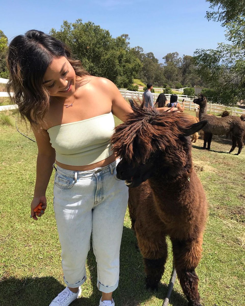 amy012344's tweet photo. Stress less and enjoy the best.🦙💖 https://t.co/vuKxfFfiDt