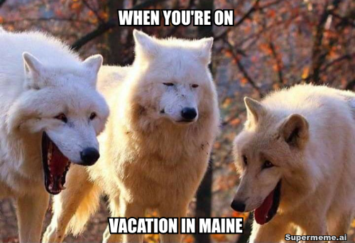 A vacation in Maine might not be what you expect. Don't claim I didn't warn you when the lights go out. MEET ME IN MAINE amzn.to/2TvFk8n #vacation #booktwt #book