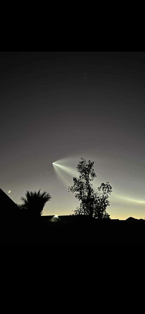 Meredith Gay 🛋️✨ tweet media