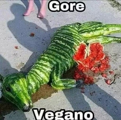 Arkzo01's tweet photo. Gore vegano
#memes #shitpost #shitposting #shitpostespañol #memesrandom https://t.co/GAKSZLblhW