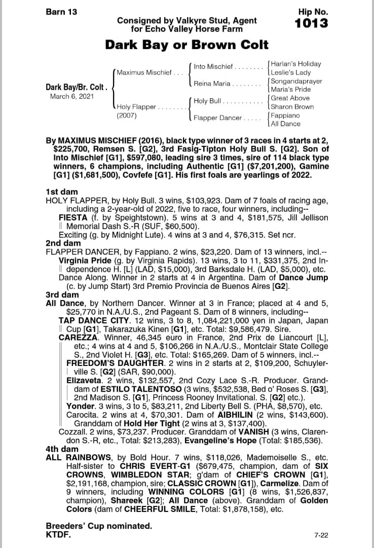 Otras dos piezas que se suman para la cuadra del Stud. Kung Hey comprado en la subasta de Fasig Tipton.