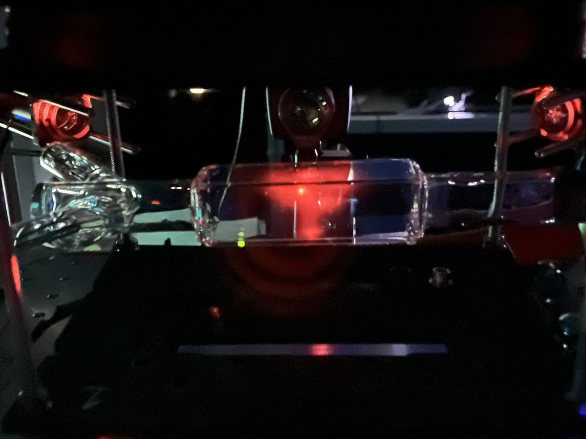 CesarJLoredo's tweet image. We have MOT ❤️🎉🎊 #Quantum #UltraColdAtoms #ImVeryHappy