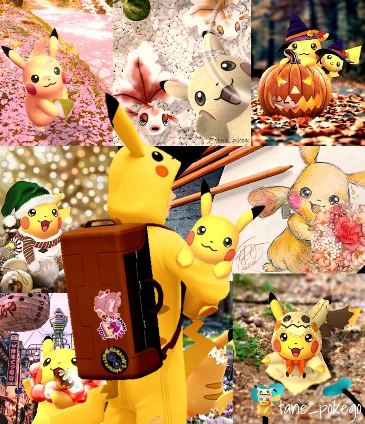 Tane Pokego Tane Pokego Twitter
