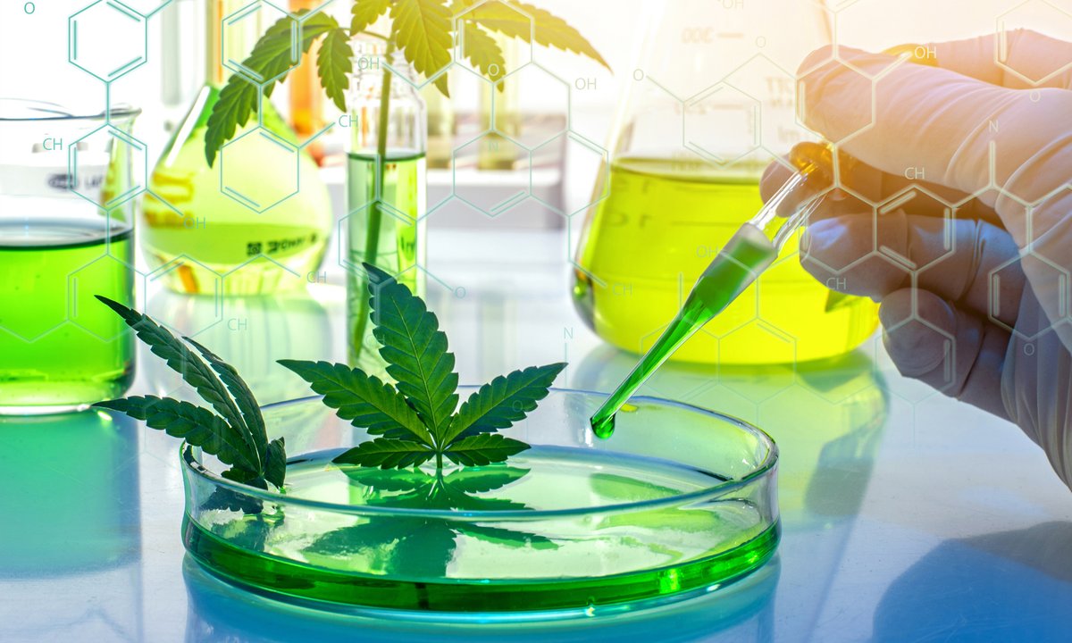 AssnExec's tweet image. California Joins Growing List of States to Protect Employees’ Off-Duty Use of Marijuana via @DuaneMorrisLLP at ow.ly/SBXj50LkCe6. 

#PIHRA #SHRM #HR #CAemploymentlaw