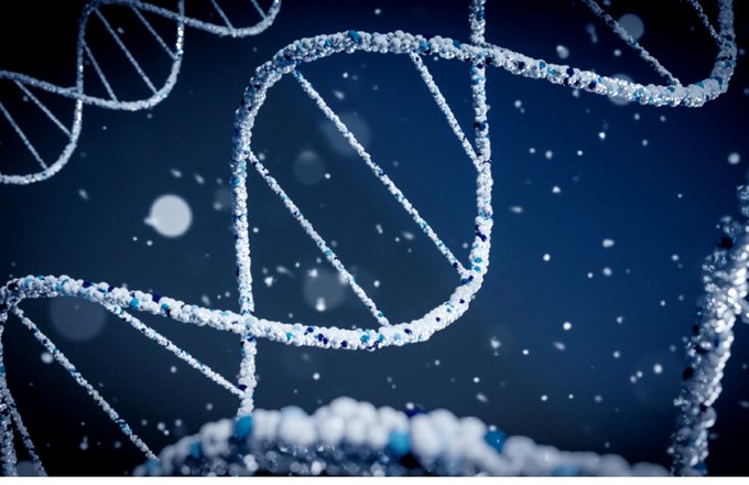 This could have a massive impact on the Industry if this development really is conclusively shown to be effective.