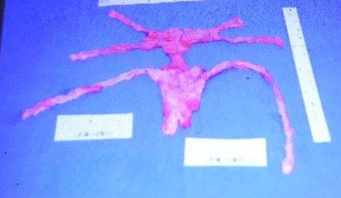 First Do No Harm - Voices of the Injured tweet media