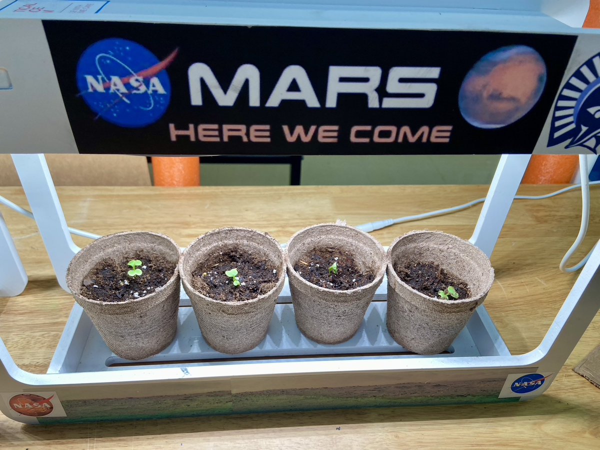 jillsciteach's tweet photo. We love our indoor greenhouse! The green glow makes up happy, and we love checking  on  and caring for the plants. #STEM #TerraformMars https://t.co/dlFBwe6vER