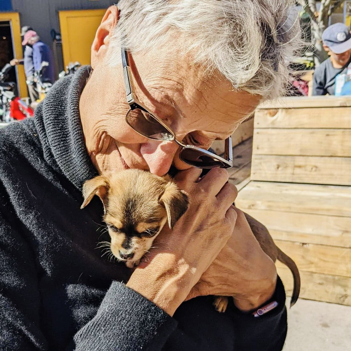 Silke 🌻🌻🌻 tweet media