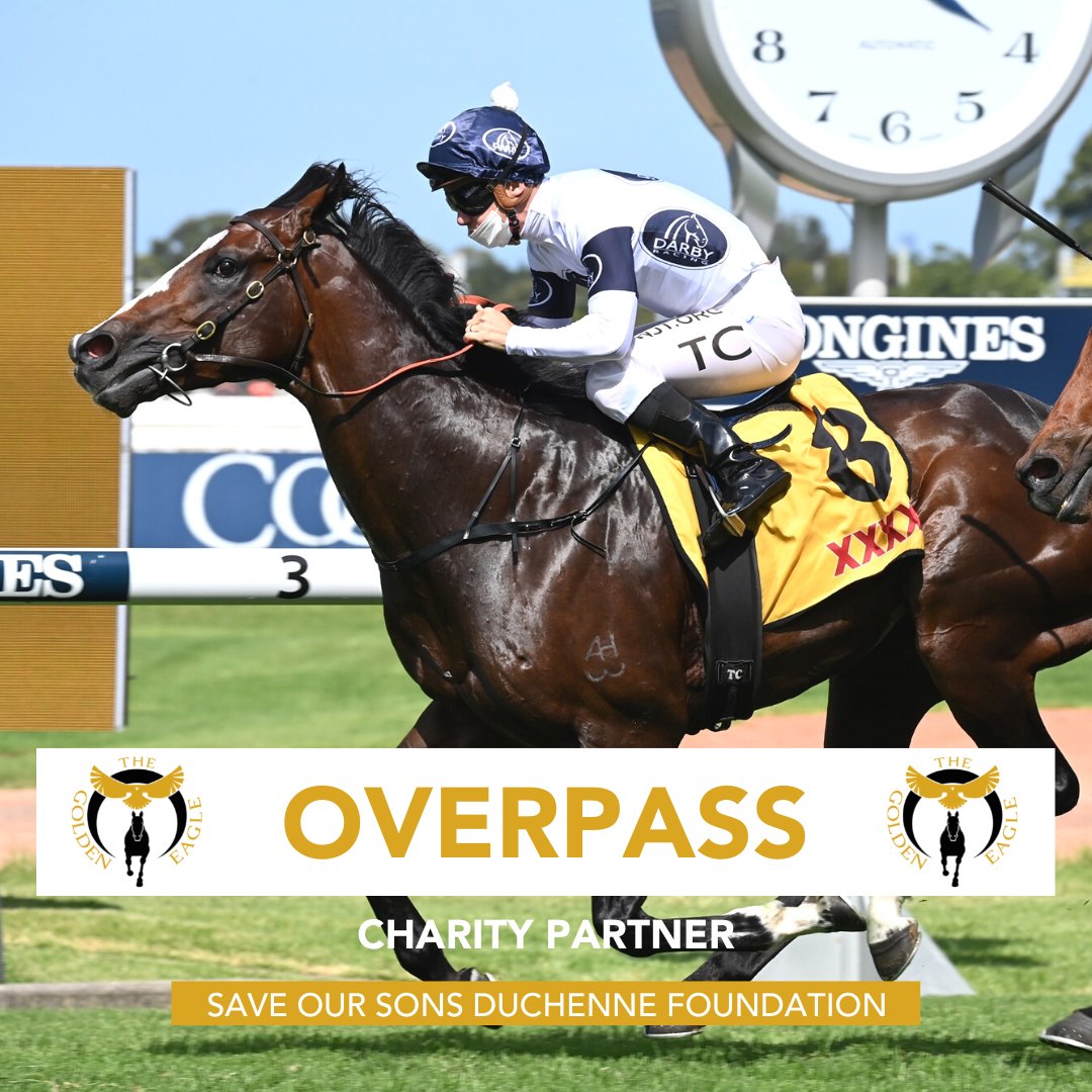 OVERPASS is our horse! Barrier 3, Lets Go!! <a href="/adrianlayt/">Adrian Layt 🏇</a>  <a href="/RachelK11/">Rachel King</a> <a href="/BBakerRacing/">Bjorn Baker Racing</a>
