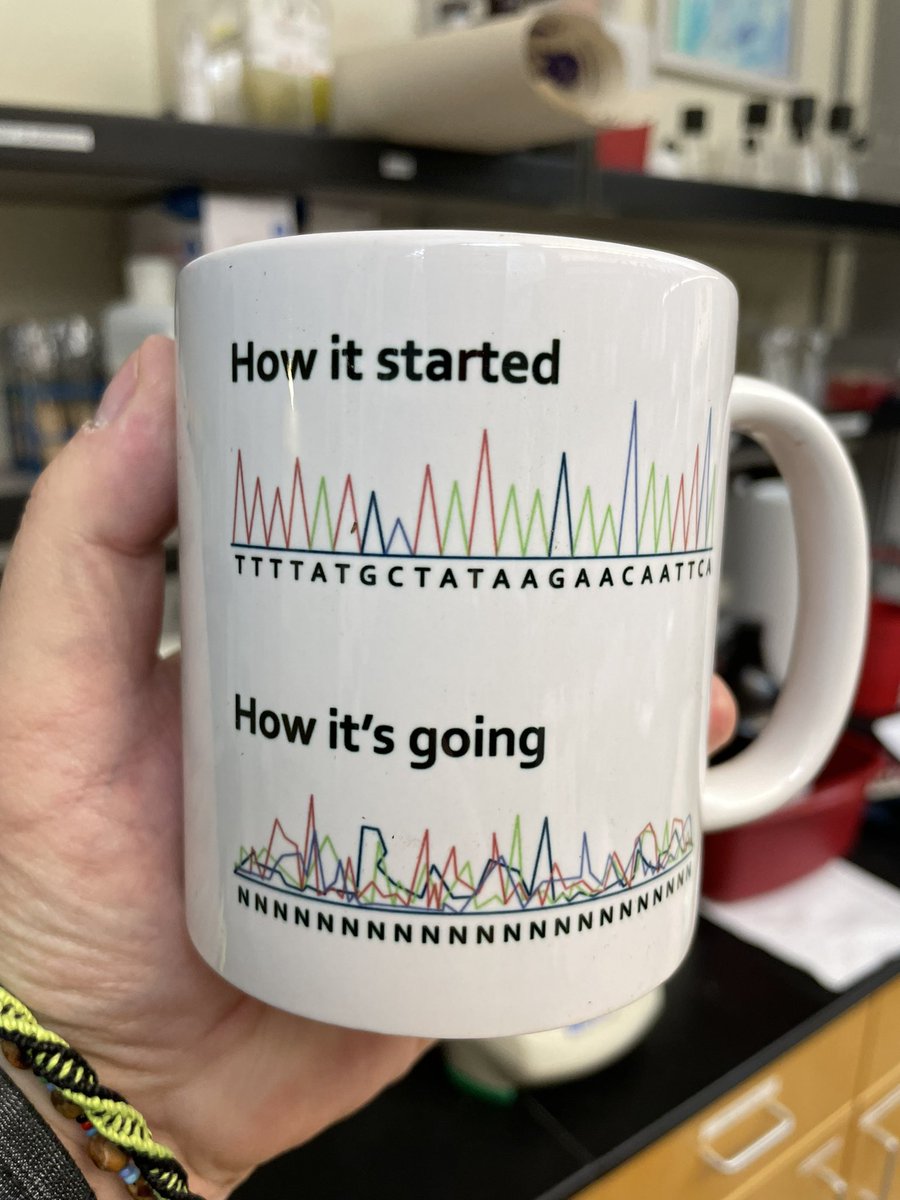 I had to buy this mug. It describes my recent research efforts.