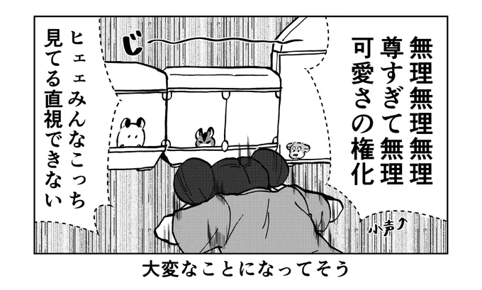 リンリンに3匹預けた場合の予想図
#悪ハムFA (非公式) 