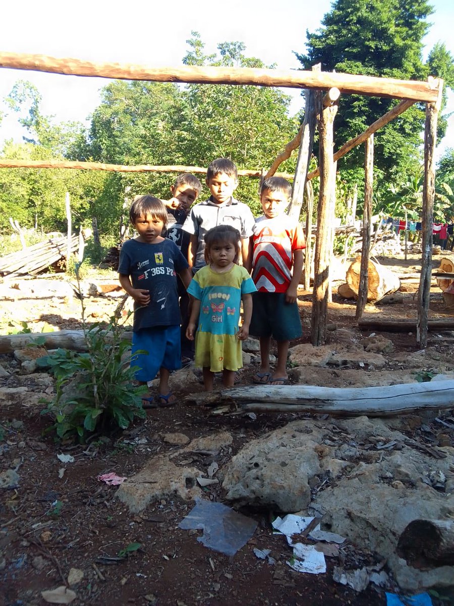 M4riaGoitia's tweet photo. @EdySmol 
¿Me ayudas a compartir?
En comunidad chiquita hay 8 niños pequeños q quieren estudiar. Un profesor va una vez a la semana a darles clases en el municipio Chemax, en Yucatán
Estamos solicitando láminas y todo tipo de material para hacer de este un salón de clases. https://t.co/FGJbWSjSVA