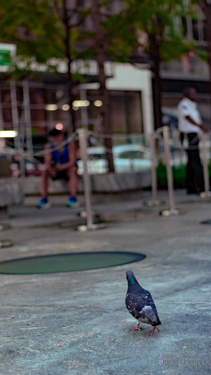 I ♥️ #NewYorkCity 

Mini album coming soon to jpfocus.photography