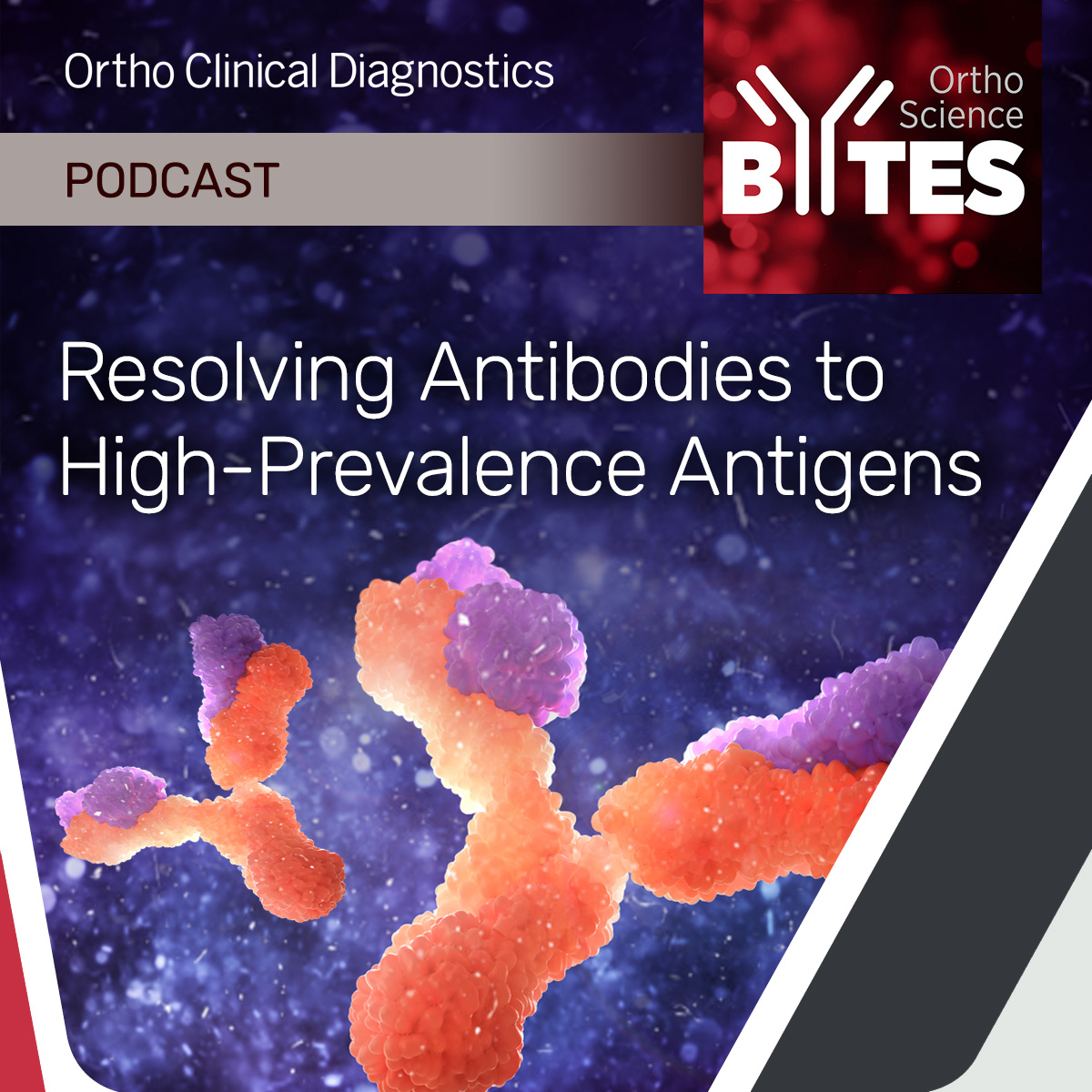 QuidelOrtho's tweet photo. High-prevalence antigens occur in over 99% of the population. Antibodies to these antigens are rare and hard to identify. Learn how to recognize them.

https://t.co/OQB4cWdsfy

#BecauseEveryTestIsALife https://t.co/kZWEAI8y5C