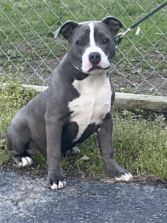 Roxie gets released tomorrow I can’t wait to see her thanks for all the prayers