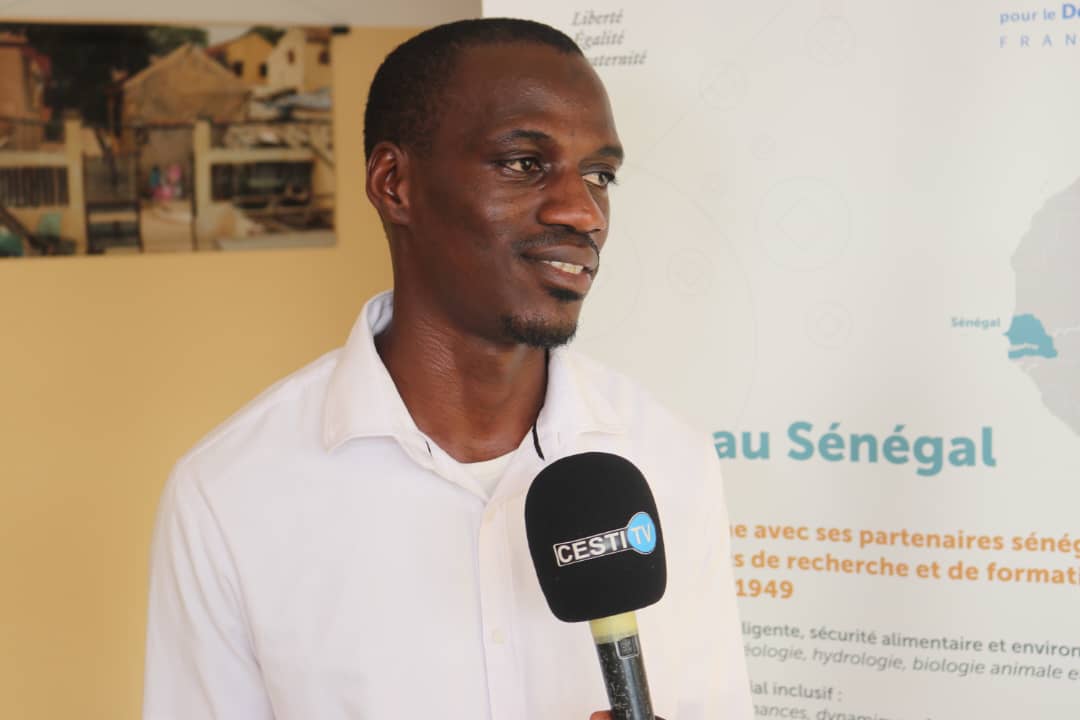 CESTIDAKAR's tweet photo. 2🔸)
Portée par l'@ird_fr pour la deuxième fois consécutive, l'initiative est soutenue par le @CESTIDAKAR. L'institution de formation en journalisme tient d'ailleurs à cœur la formation des étudiants dans les domaines du journalisme scientifique.
#CMJSF https://t.co/EASiKOrqwS