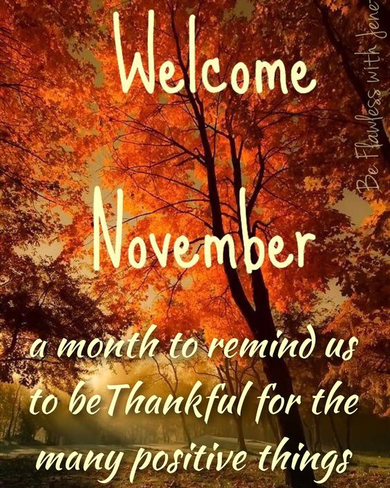 Assure_Link's tweet image. 