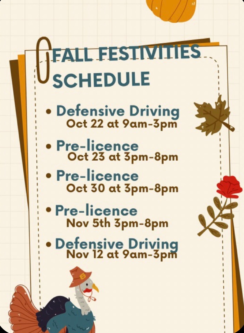 DriveSafe_NYS's tweet photo. HTTPS//www.drivesafenys.com/pay-for-class https://t.co/PNVifYf6tQ
