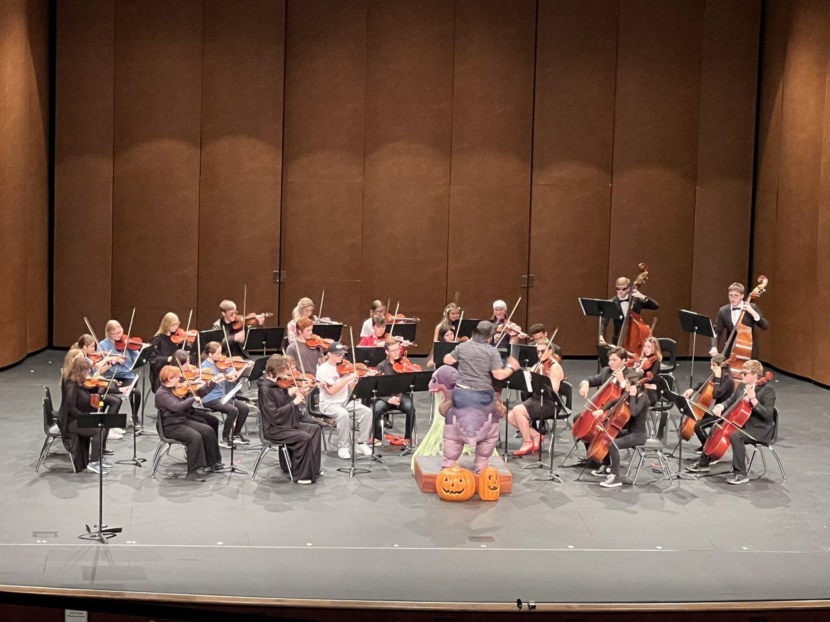 Symphony Orchestra Costume concert. So fun!