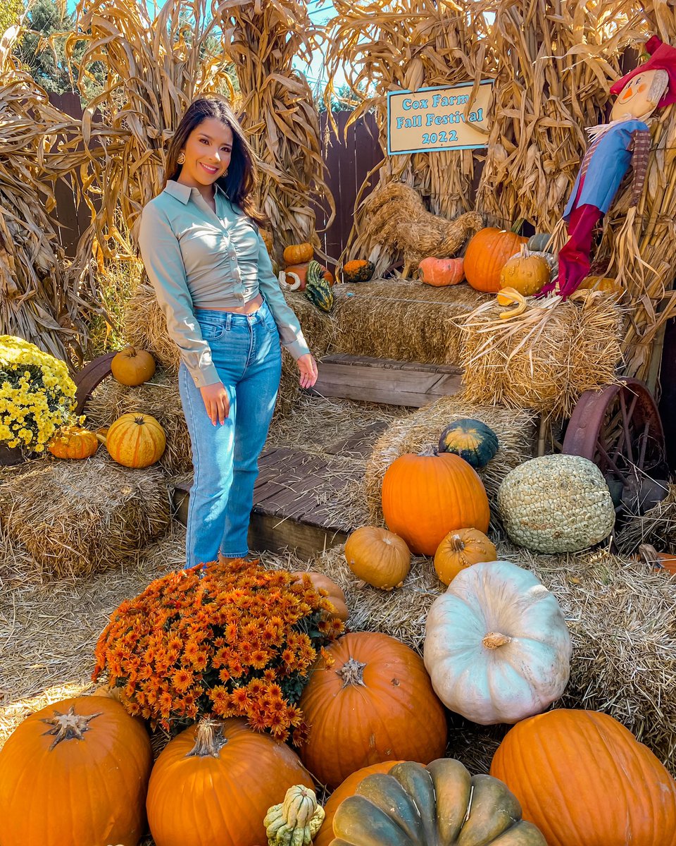 _dianahadit's tweet photo. Feeling all the fall vibes🎃🍂 #fall #fallfashion #ugc #ugccommunity #fallugc #ugccreatorneeded #UGCcontent #ugccreator https://t.co/dpl72E4ucW