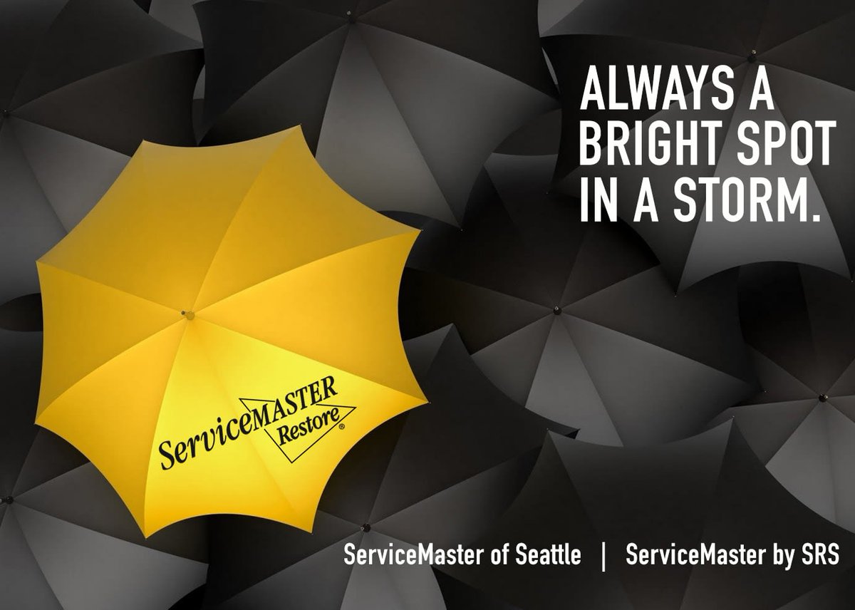 SM_of_Seattle's tweet photo. Th

#firedamagerestoration #servicemasterrestore #woodinvillewinecountry #woodinville #ourcustomersmatter #customersatisfaction #whenyouhaveadisastercallservicemaster #kirklandchamber #bellevuechamber #snohomishcounty #everettwashington #puyallupwashington #kingcountywa #playt https://t.co/BmikDLiiC7