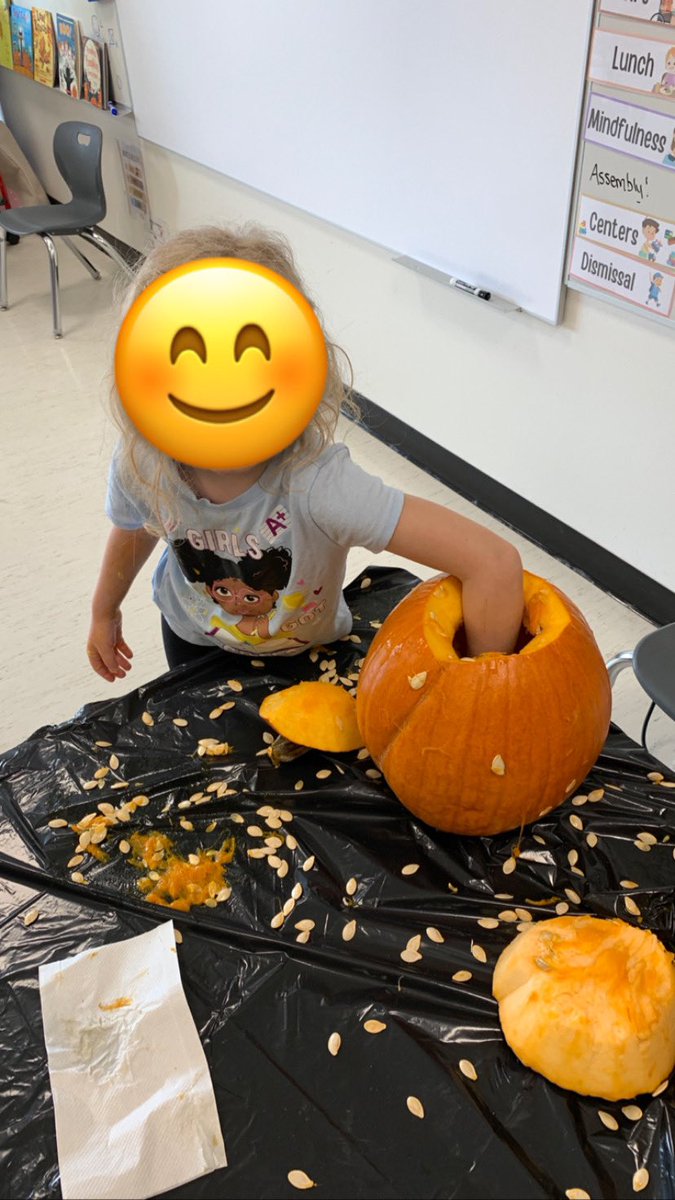 Last week we came up with all these wonderings about Fall… this week, we did a lot of exploring and found some answers