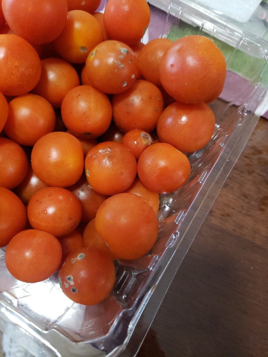 Morsawa's tweet photo. .@SamsClubMexico hoy compré estos jitomates y ya en casa me doy cuenta que están llenos de hongo!! Quién me ayuda? https://t.co/soSfZCJhX1