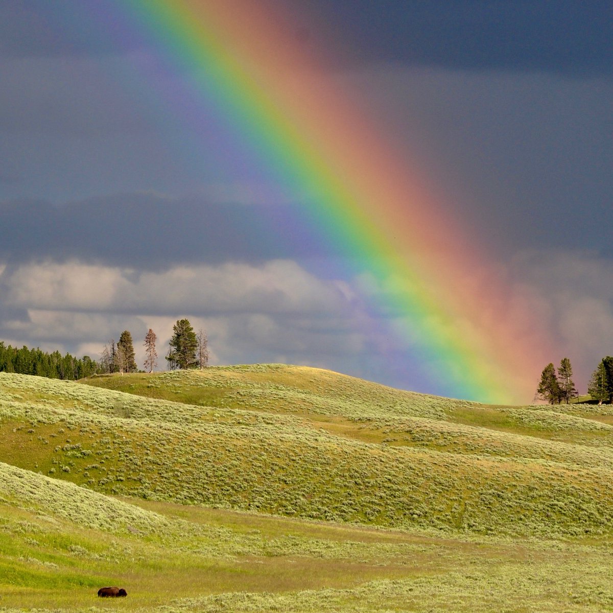 ∙ Haftarah for the Rainbow Covenant ∙

Channeled through Rabbi Arthur Waskow
(translated into Hebrew by Rabbi Zalman Schachter-Shalomi)

Read and download in full in PDF at theshalomcenter.org/sites/default/…
Also on our linktree in our bio 🌈