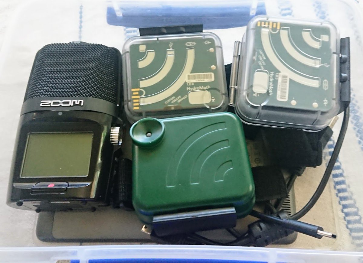 Simon Linke 🎤🐠 tweet media