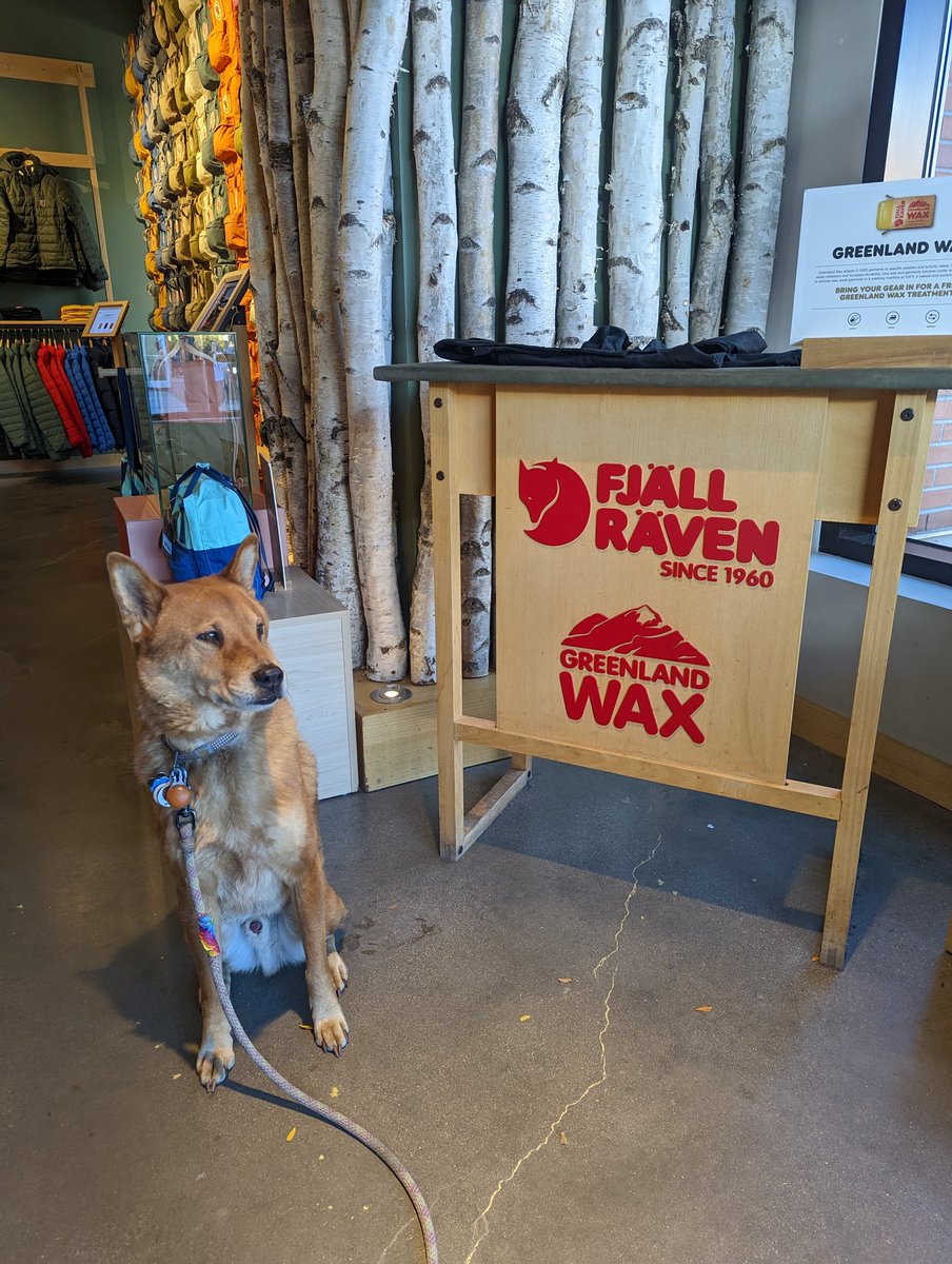 Cosmic Charlie loves the Boulder <a href="/Fjallraven_NA/">Fjällräven North America</a> . Great gear, great treats!