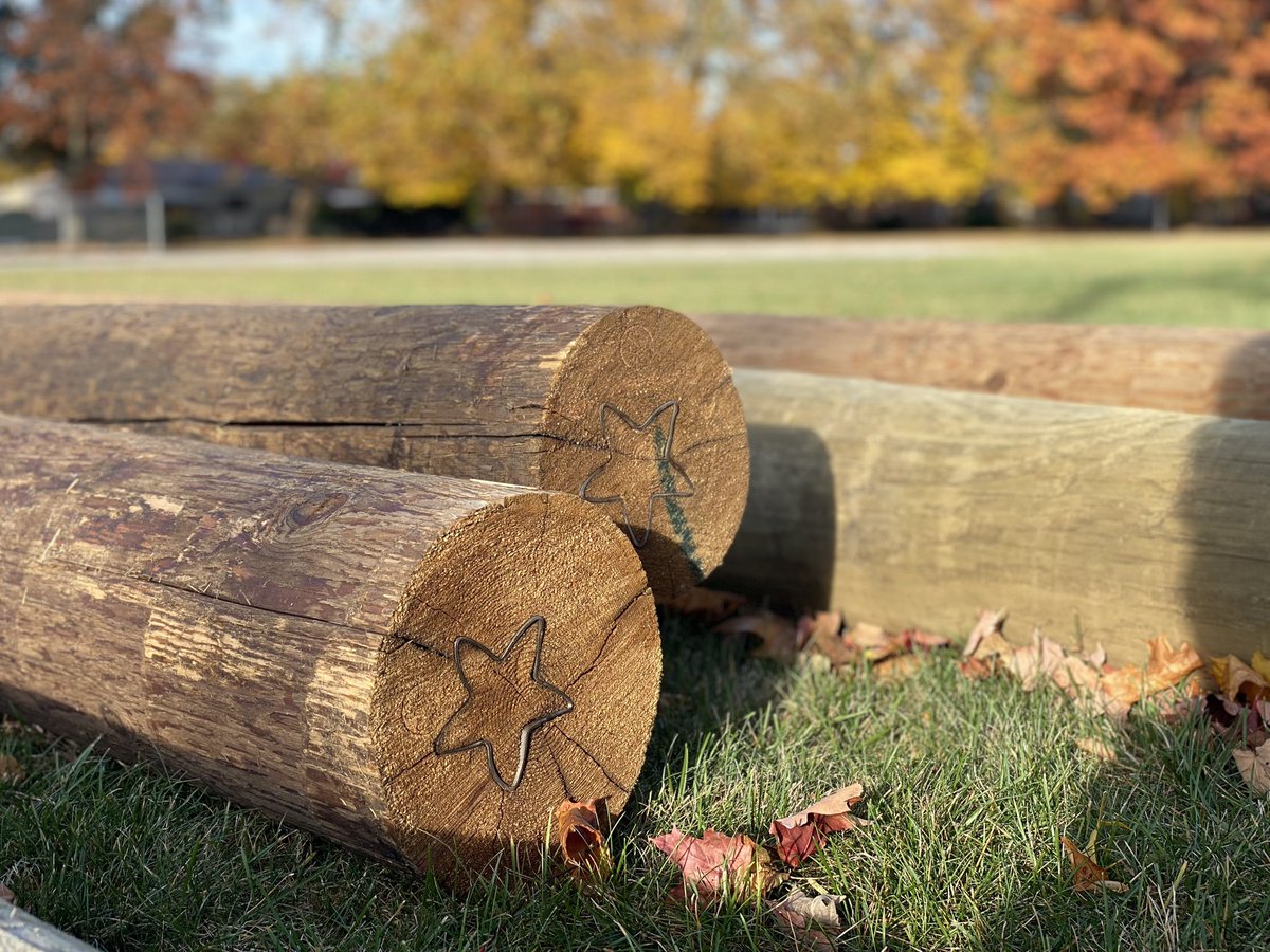 bassKMB's tweet photo. Impressions of Autumn in suburban SE Michigan. https://t.co/W3KH98mapE
